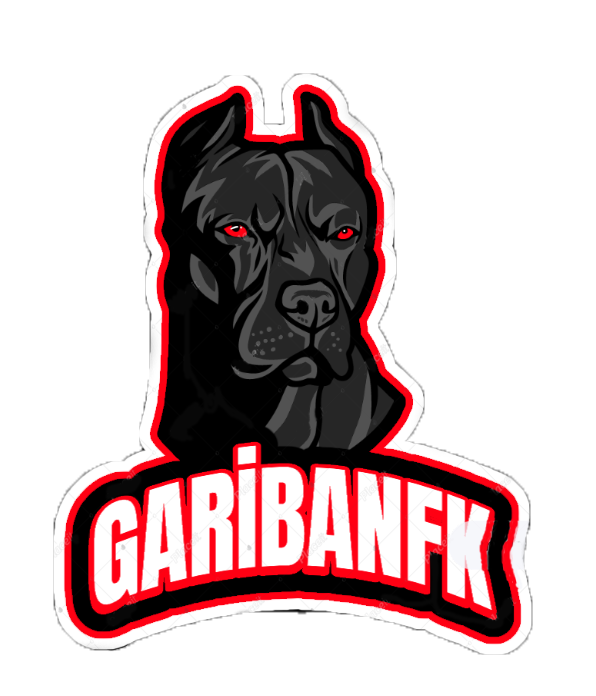 GaribanFK