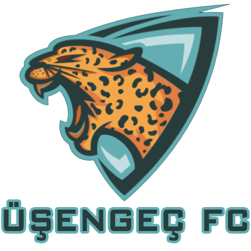 ÜŞENGEÇ FC