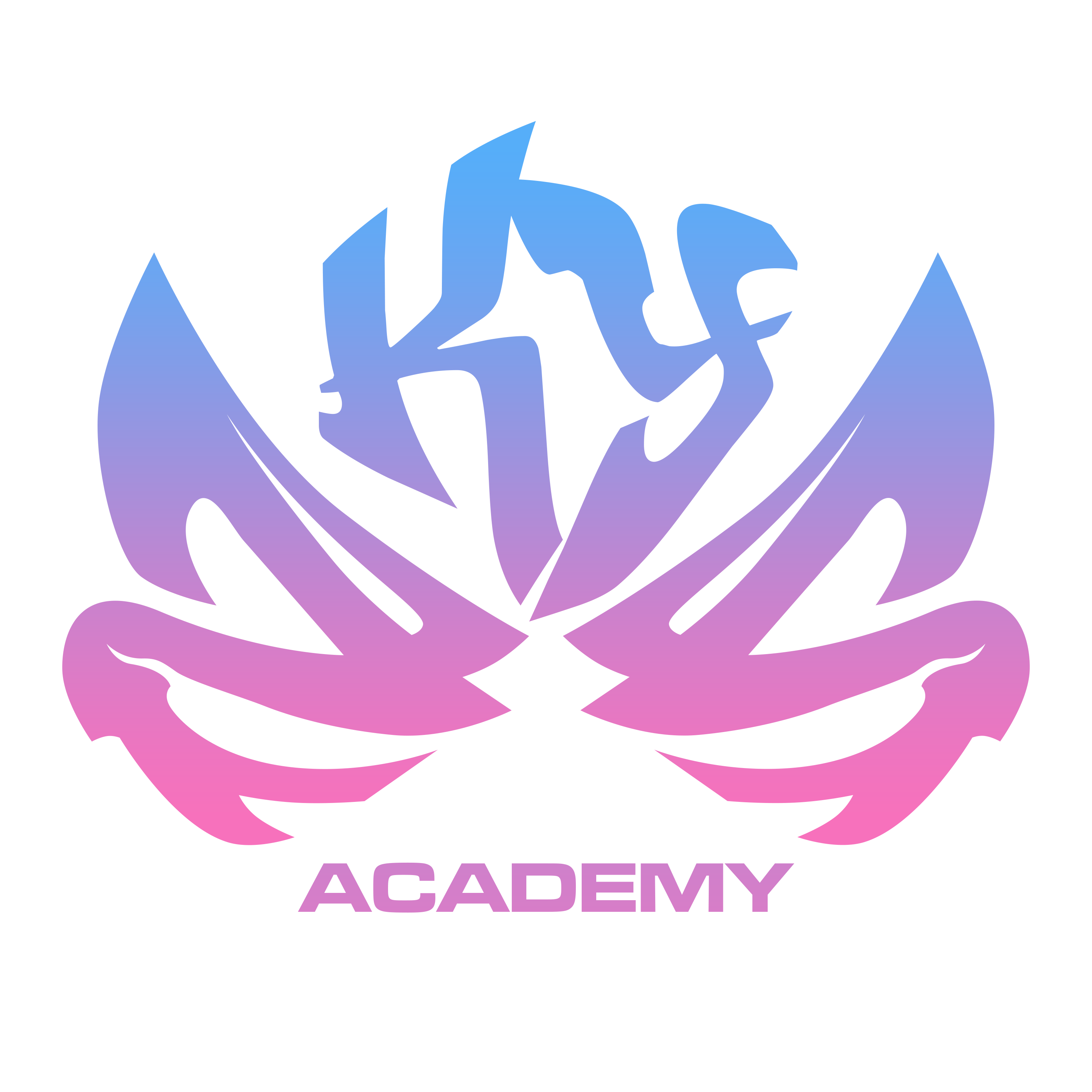 Skyfall Academy